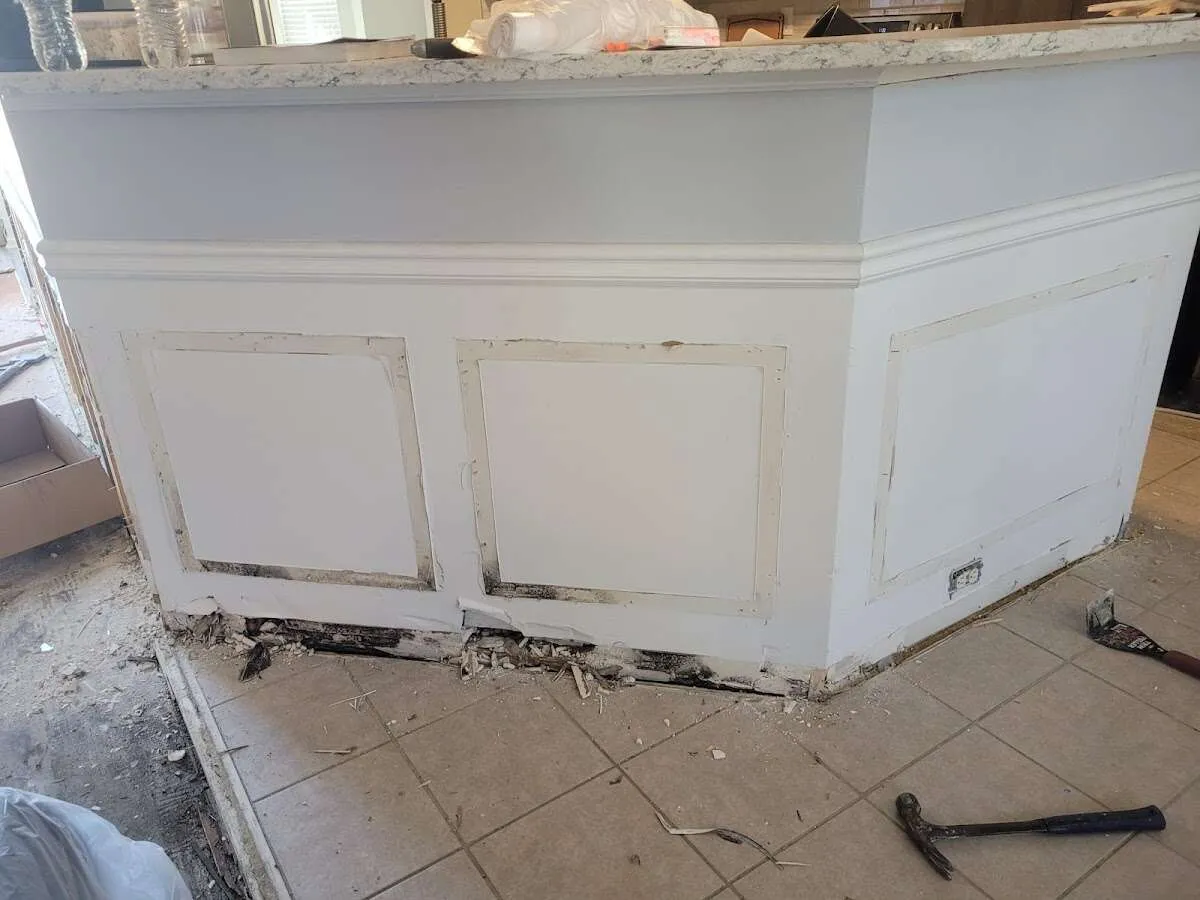 Water damage and mold on kitchen during Mold Inspection & Testing in Lake Los Angeles